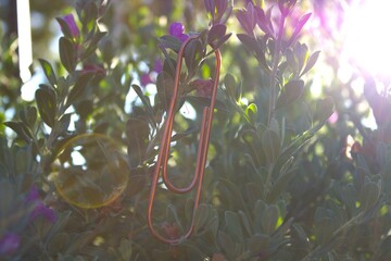 rose gold paperclip up close