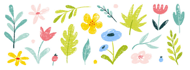 Flower spring vector garden cute element set. Hand drawn pastel flower, leaf, wildflower daisy cute elements with crayon chalk texture. Doodle garden floral plant kid background. Vector illustration