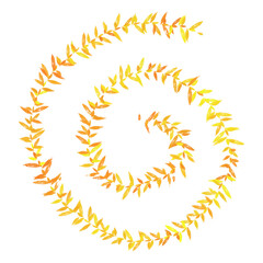 yellow spiral swirl shape illustration