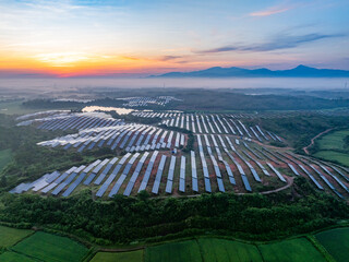 Photovoltaic panels on a hillside at sunrise