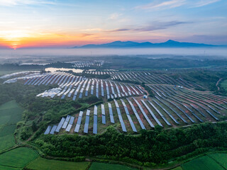 Photovoltaic panels on a hillside at sunrise
