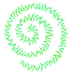 green spiral circle shape