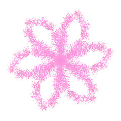 pink snowflake flower