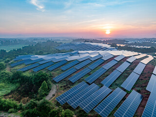 Photovoltaic panels on a hillside at sunrise