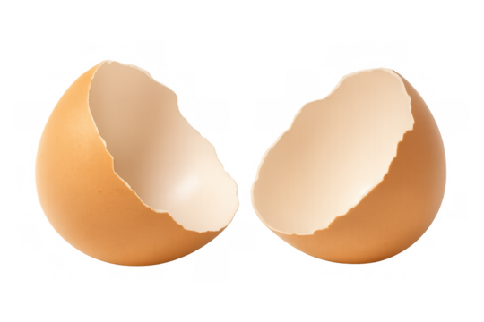 Cracked brown eggshell halves resting on clear surface, symbolizing birth, vulnerability, culinary potential - Powered by Adobe