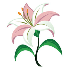 vector-art-lily--on-white-back-ground.eps