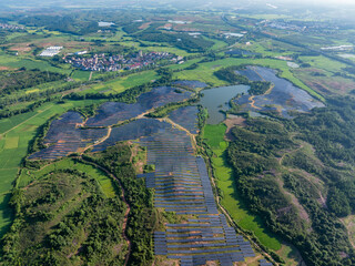 Photovoltaic panels on a hillside at sunrise