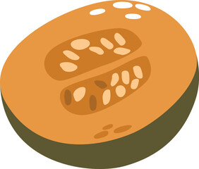 Sweet melon cantaloupe fruit vector illustration