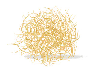 Desert Dry Bush Tumble Weed, Western rolling stem from dead plant