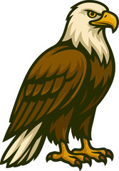 eagle on white background
