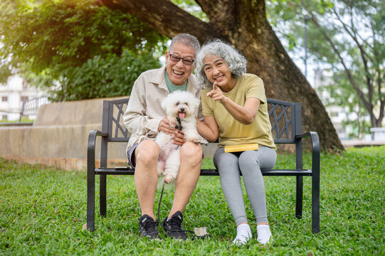 Glasses old man holding puppy with woman pointing and posing to camera as sitting on bench in park.
