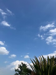 Blue sky view青空