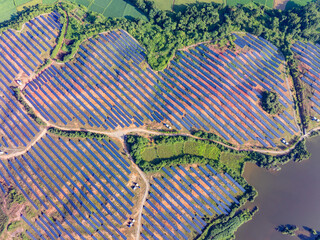 Photovoltaic panels on a hillside