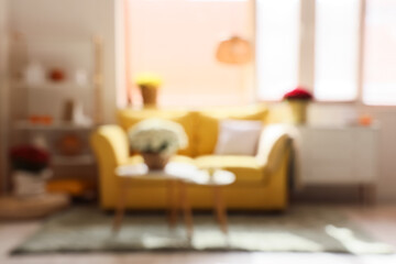 Blurred view of stylish living room with yellow sofa and chrysanthemum flowers on coffee table