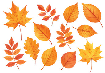 Collection of Watercolor Autumn Leaves Orange Yellow and Red Hues.