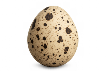 Quail egg with characteristic dark spots on light beige shell isolated on transparent background, ideal for food and nature projects