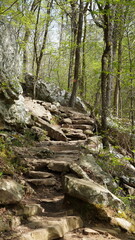 Stone Step Pathway at Petit Jean State Park