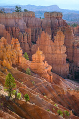 Sunlight highlighting glowing hoodoo rock formation in the Bryce Amphitheater, Bryce Canyon National Park, Utah
