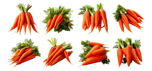 Fresh Organic Carrots with Green Tops on a White Background, Isolated on Transparent, white background