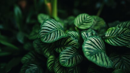 Vibrant Green Leaves in Natural Setting