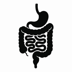 Human Digestive System Stomach and Intestines Icon