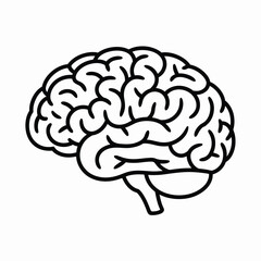 Human Brain Anatomy Outline Icon