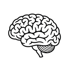 Human Brain Anatomy Outline Icon