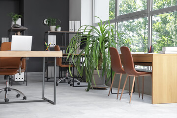 Interior of modern office with desks and palm tree
