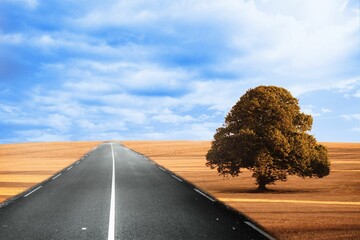 Cloudy brown landscape with street