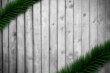 Obraz premium Blurred fir branches on wood