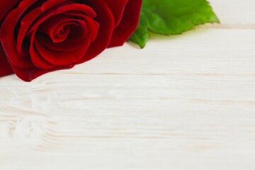 Flat design red rose bloom is resting on pale wooden tabletop, showing petals and green leaves