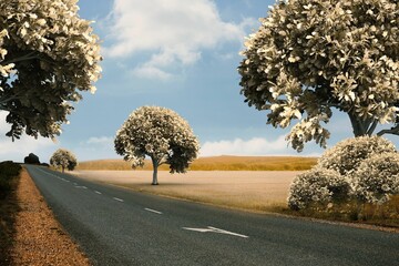 Road leading out to the horizon