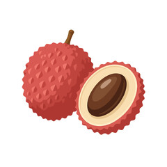 lychee fruit vector illustration 
