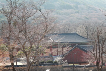 the ancient temple and the park