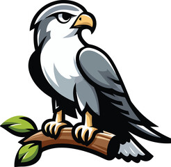 Kind of Birds