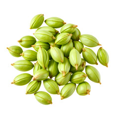 "Pistachio Nuts – Healthy Snack Isolated on White Background"









