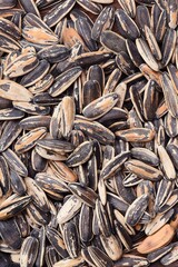 close up of sunflower seeds for background