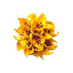 Abstract Yellow Flower with Chili Flakes - Spicy Floral Design