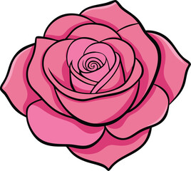 Stylized pink rose flower isolated on white background
