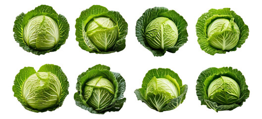 Fresh Green Cabbage Varieties on White Background for Cooking, Isolated on Transparent, white background