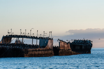 Close-up of the SS Palo Alto, an old World War II shipwreck around sunset, off the coast of Aptos,...