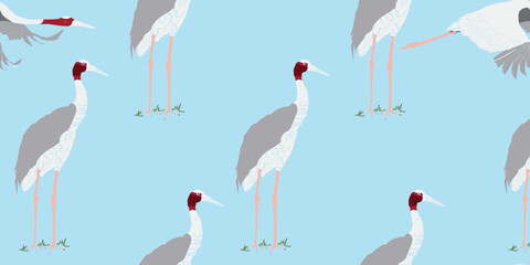 Bird Sarus Crane Cartoon Cute Seamless Wallpaper Background. Light blue background.
