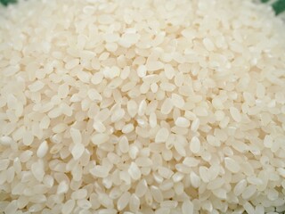 유기농 흰쌀, 요리재료