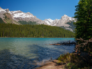 Scenic turquoise Maligne lake with snowy Rocky Mountains and pine forest in Jasper National Park,...