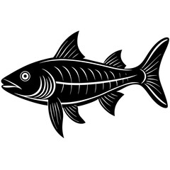Fototapeta premium fish on a white background