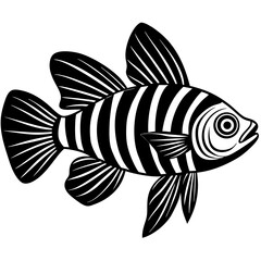 Fototapeta premium fish on a black background