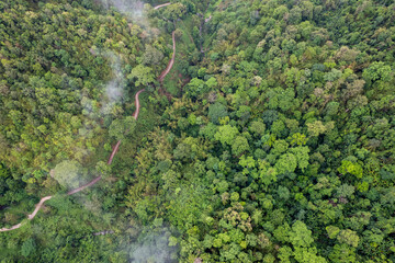 Landscape of Morning Mist with Mountain Layer. mountain ridge and clouds in rural jungle bush forest