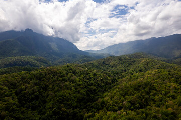Landscape of Morning Mist with Mountain Layer. mountain ridge and clouds in rural jungle bush forest