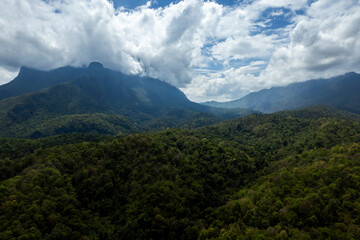 Landscape of Morning Mist with Mountain Layer. mountain ridge and clouds in rural jungle bush forest