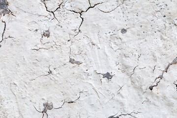 Light Gray Stucco Wall Texture. Abstract Background